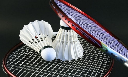 2019 - Nord-Est - Badminton