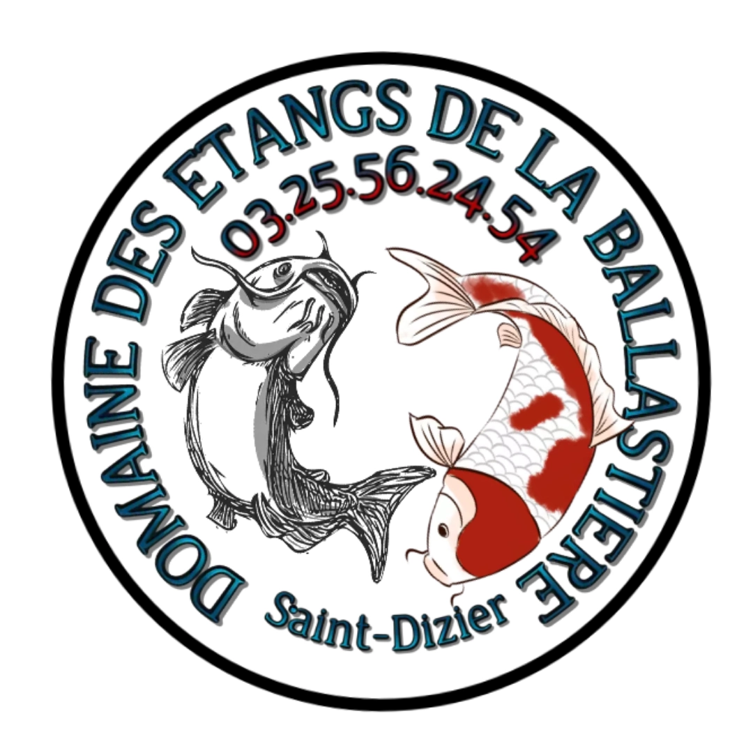 Saint-Dizier - PCB
