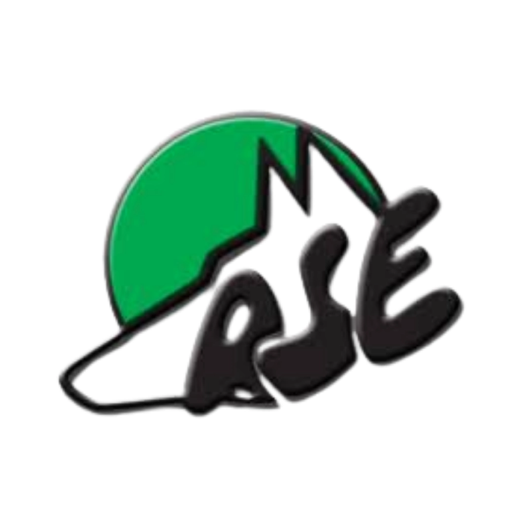 Logo AS Egly