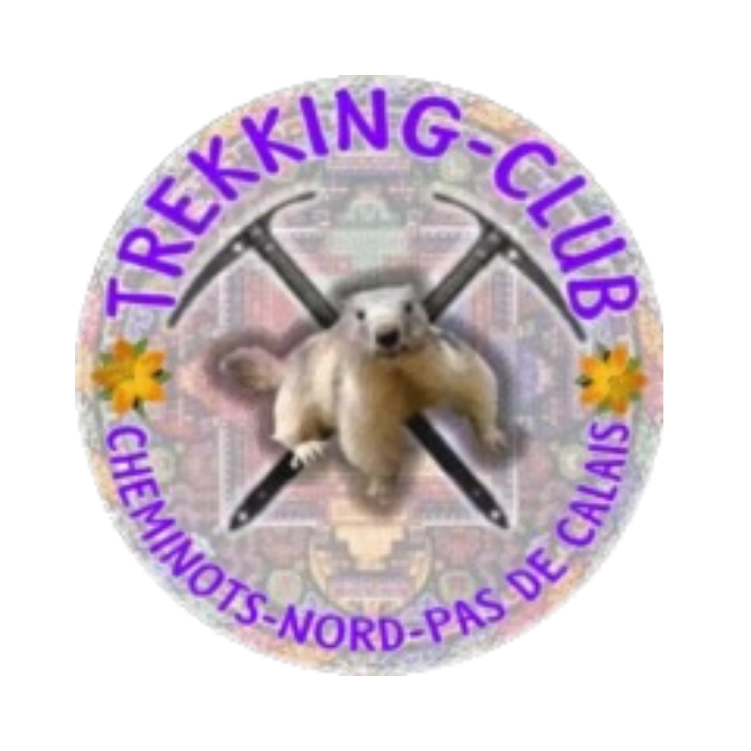 Logo Nord Pas de Calais - TCCNPC