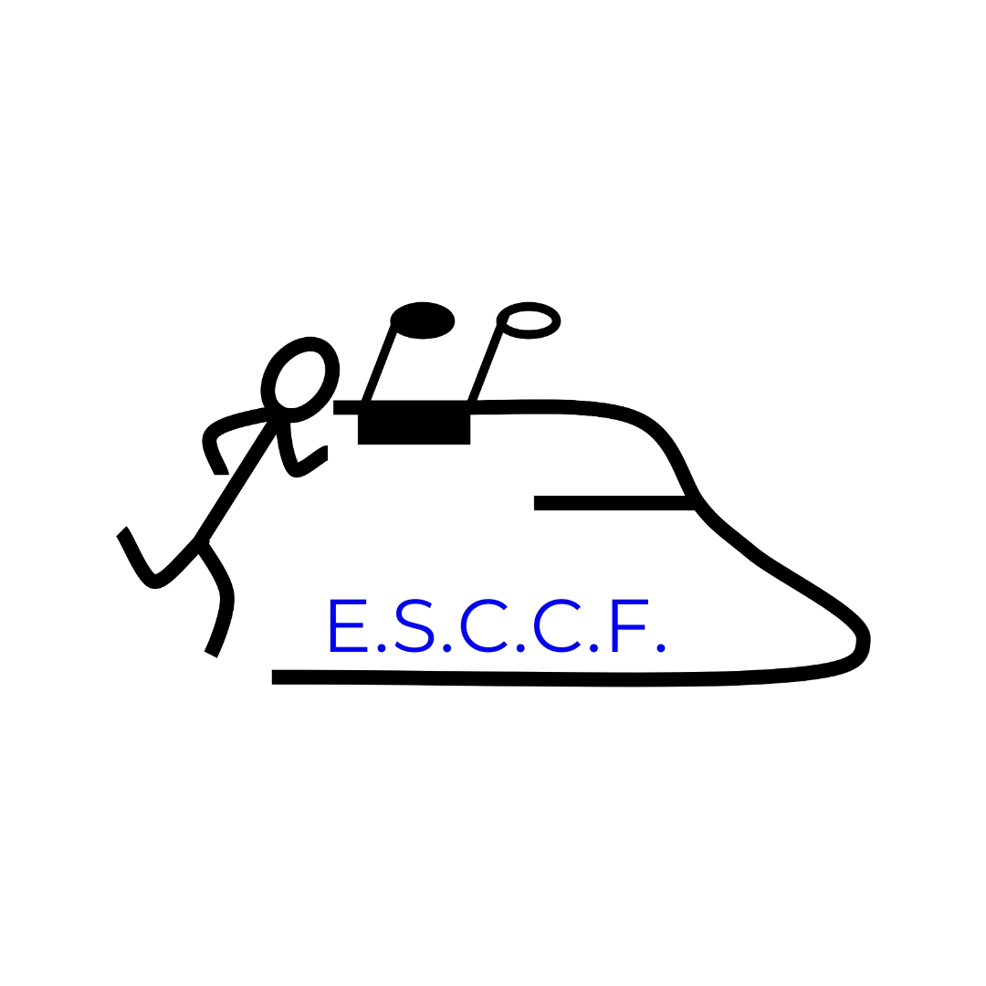 Logo Besançon - ESCCF