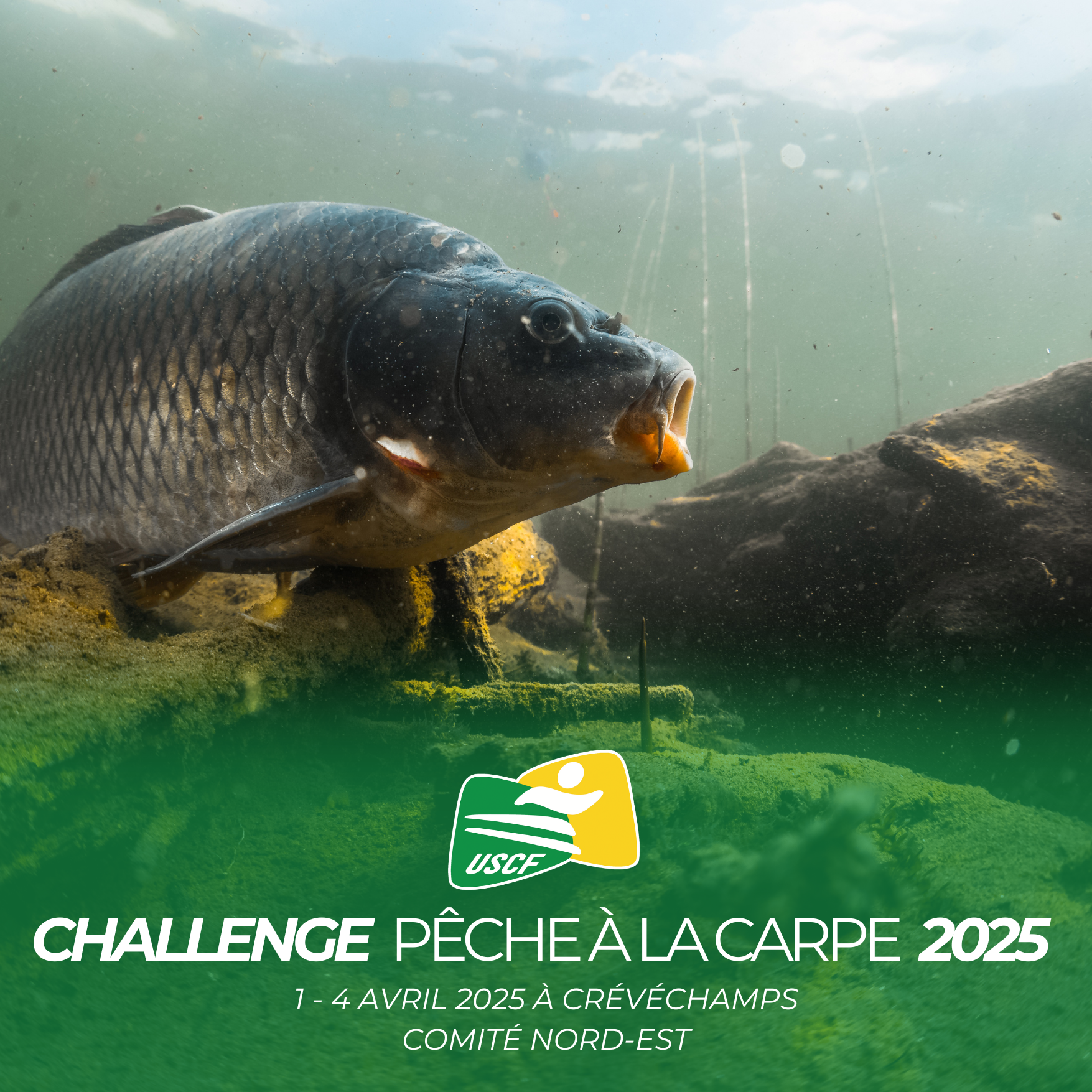 Retour sur le CHALLENGE N-E Pêche à la Carpe 2025