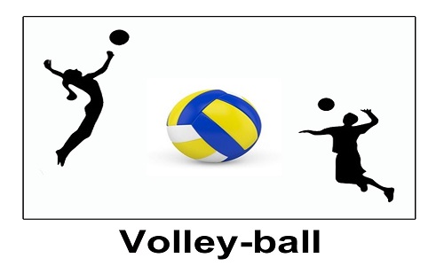 2020 - Nord-Est - Volley-ball - Annulé