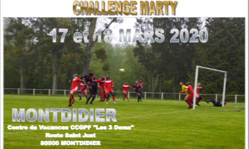 2020 - CIDF - Challenge Marty - REPORTE