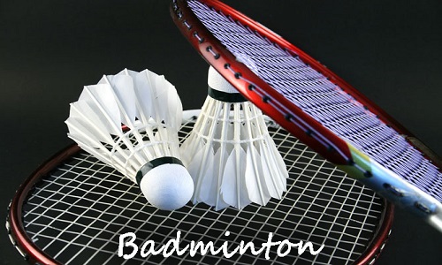 2022 - Nord-Est - Badminton