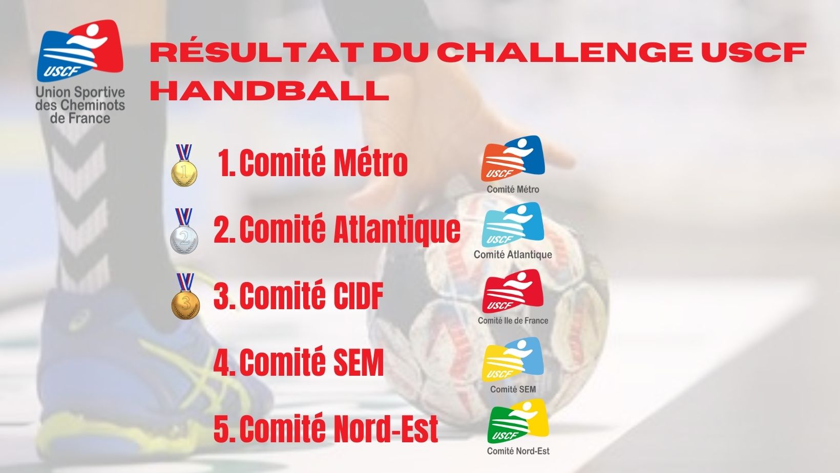 Le Comité Métro remporte le Challenge de Handball USCF